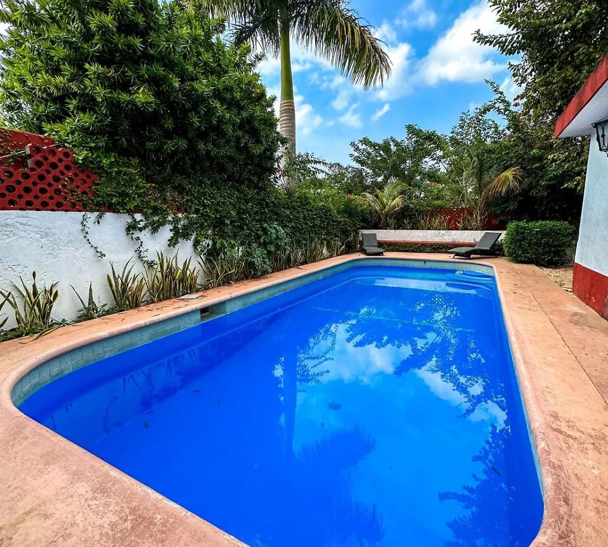 Apartment Loft Pergola Para 10 Personas Merida Mexico
